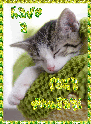 Have a Lazy Sunday! Cute kitten :: Sunday :: MyNiceProfile.com