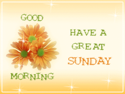 Good Morning Have a great Sunday Orange Flowers :: Sunday