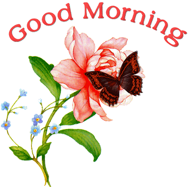 Good Morning flower with butterfly :: Hello! :: MyNiceProfile.com