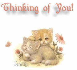 Thinking of You Cute kittens :: Thinking Of You :: MyNiceProfile.com