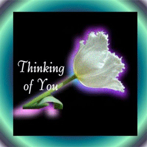 Thinking of You Flower :: Thinking Of You :: MyNiceProfile.com