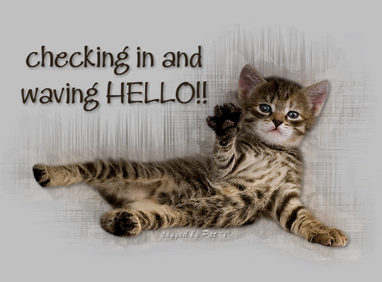 Checking in and waving HELLO! :: Hello! :: MyNiceProfile.com
