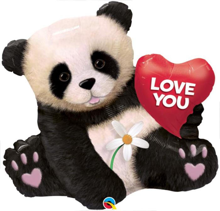 Love You. Cute Panda Love