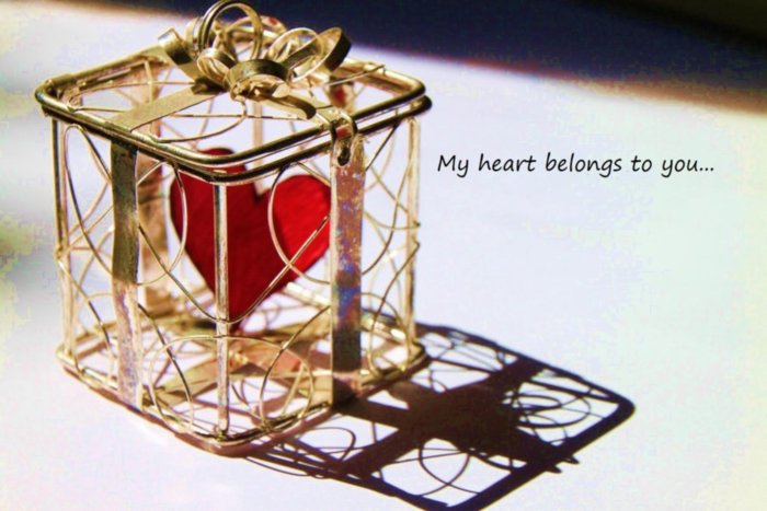 My heart belongs to you :: Love :: MyNiceProfile.com