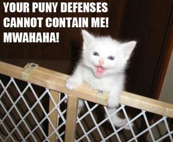 LOL Cat :: Funny :: MyNiceProfile.com