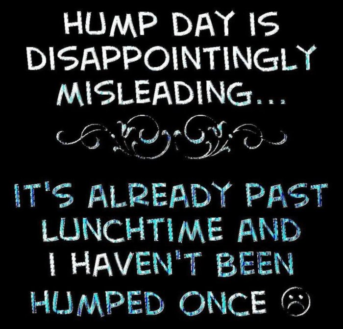 Days - Hump Day Comments Pictures