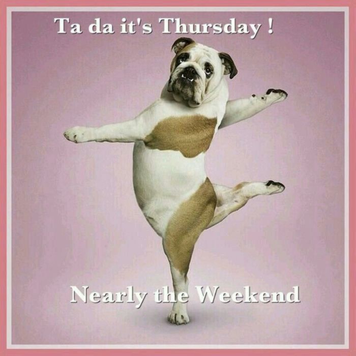 It's Tuesday! Nearly the weekend :: Thursday 