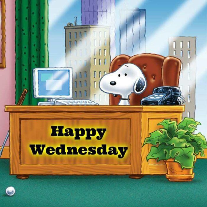 Happy Wednesday Snoopy Wednesday