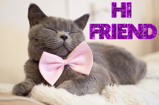 Hi Friend -- Cute Cat :: Hello! :: MyNiceProfile.com