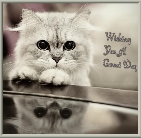 Wishing You A Great Day -- Cute Cat :: Good Day :: MyNiceProfile.com