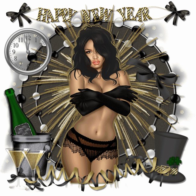 Erotic happy new year Livre numérique