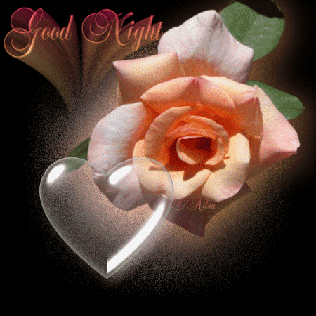 Good Night -- Heart and Flowers :: Bye :: MyNiceProfile.com