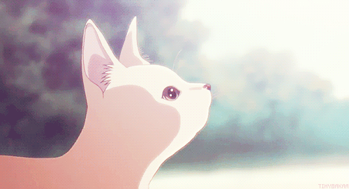 White Anime Cat :: Anime :: MyNiceProfile.com