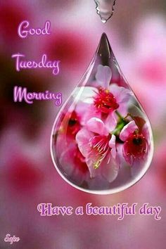 Good Tuesday Morning! Have a Beautiful Day! :: Tuesday :: MyNiceProfile.com
