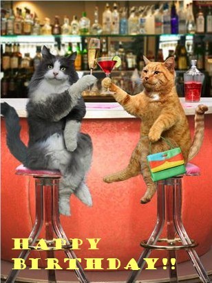 Happy Birthday drinking cats :: Happy Birthday :: MyNiceProfile.com