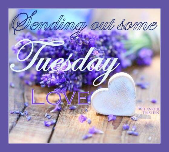 Sending Out Some Tuesday Love Tuesday Myniceprofile Com