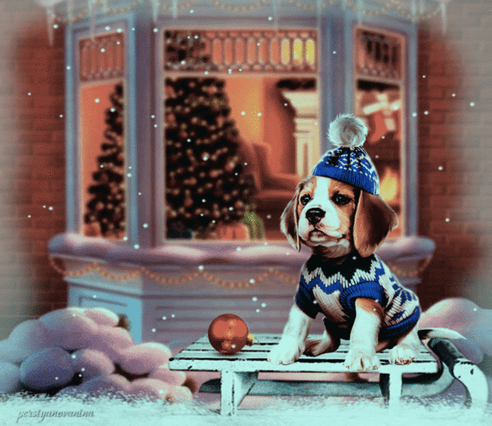 Merry Christmas -- Puppy :: Christmas :: MyNiceProfile.com