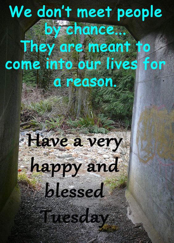 Have a very happy and blessed Tuesday :: Tuesday :: MyNiceProfile.com