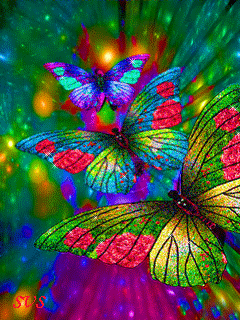 Butterflies :: Animated Pictures :: MyNiceProfile.com
