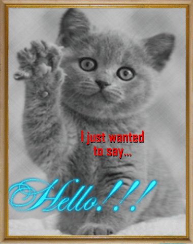 I just wanted to say Hello! -- Cute Kitten :: Hello! :: MyNiceProfile.com