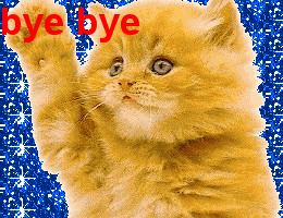Bye Cat