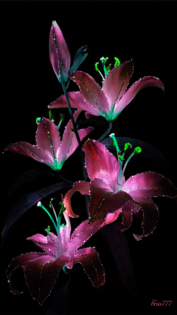 Purple Flowers :: Animated Pictures :: MyNiceProfile.com