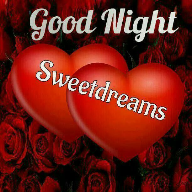 Good Night Sweet Dreams Bye