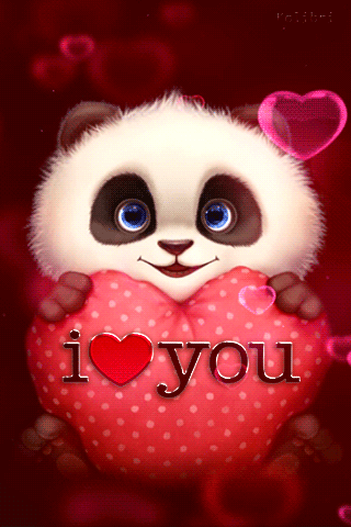 I Love You Panda :: Love :: MyNiceProfile.com