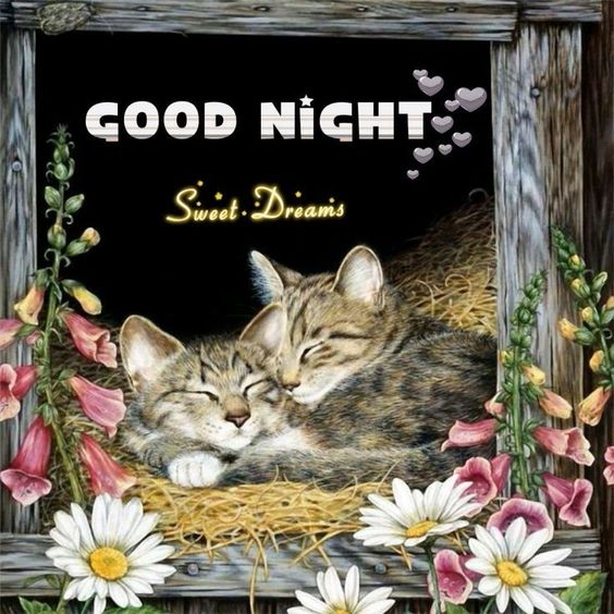 Good Night Sweet Dreams :: Bye :: MyNiceProfile.com
