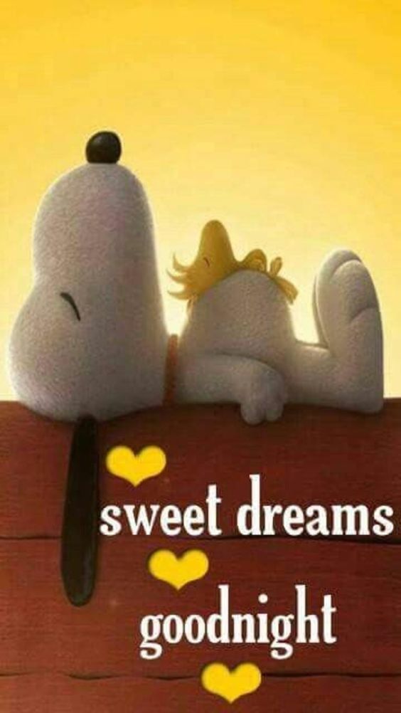 Good Night Sweet Dreams -- Snoopy :: Bye :: MyNiceProfile.com