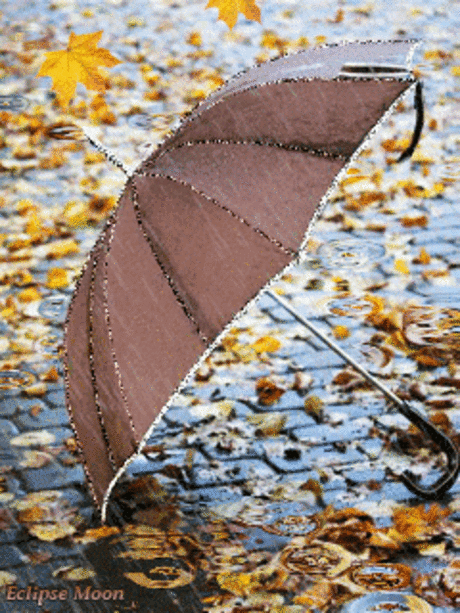 Autumn/Fall Rain Umbrella :: Animated Pictures :: MyNiceProfile.com