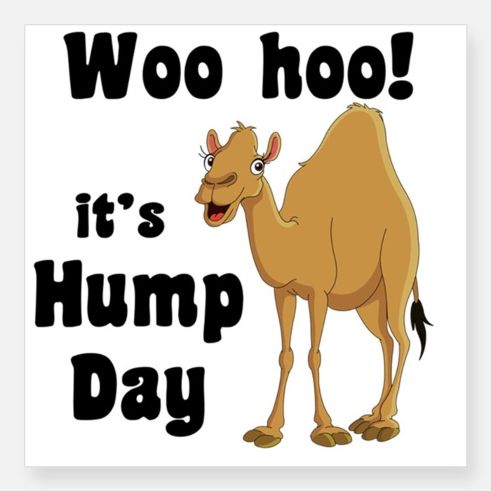 happy-hump-day-camel-framed-art-print-by-thepreppyartist-redbubble