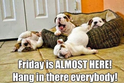 Friday is almost here! Hang in there everybody ...