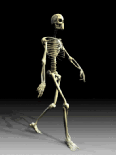 Walking Skeleton :: Animated Pictures :: MyNiceProfile.com