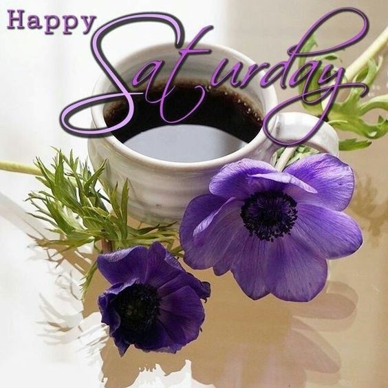 Happy Saturday &ndash; Purple Flowers :: Saturday :: MyNiceProfile.com