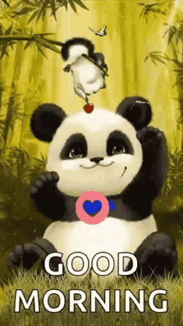 Good Morning - Panda :: Hello! :: MyNiceProfile.com