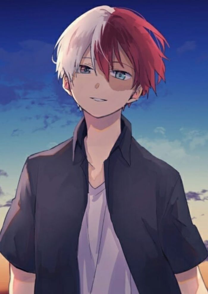 hero academy anime todoroki