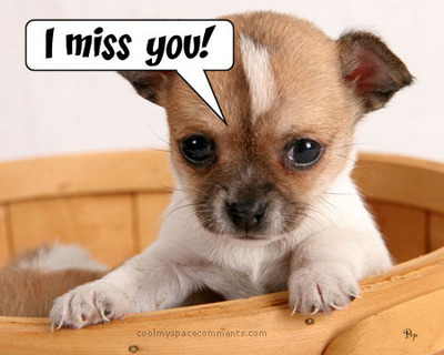 puppy miss you