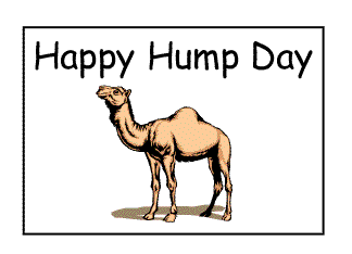 Days - Hump Day Comments Pictures