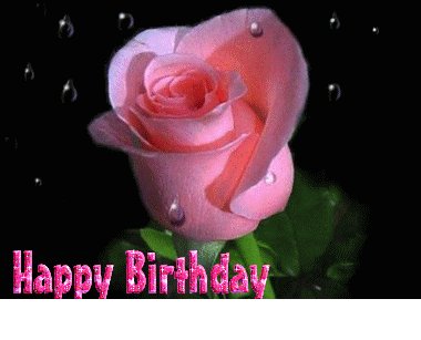 Happy Birthday -- Pink Rose :: Happy Birthday :: MyNiceProfile.com