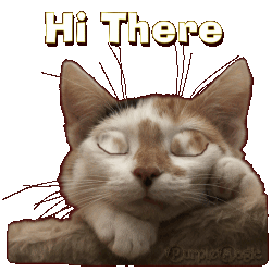 Hi There Animated Cat :: Hello! :: MyNiceProfile.com