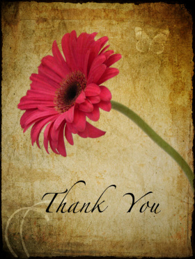 Thank You Flower :: Thank You :: MyNiceProfile.com