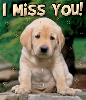 puppy miss you