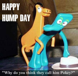 Pokey Hump Day :: Days - Hump Day :: MyNiceProfile.com