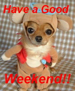 Have A Good Weekend. funny puppy :: Days - Weekend :: 