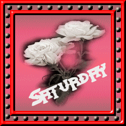 Saturday Comments Pictures