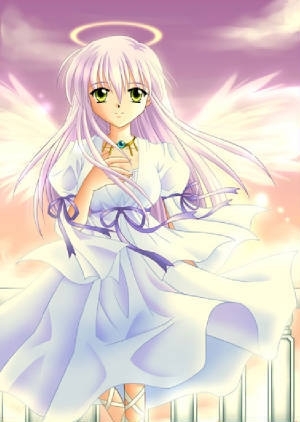 Angel Anime Pic