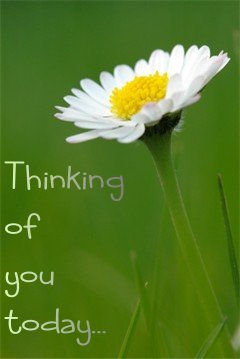 Thinking of you today! :: Thinking Of You :: MyNiceProfile.com