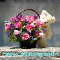 HOPE YOU ARE FEELING BETTER! :: Get Well :: MyNiceProfile.com