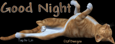 Good night, animated cat :: Bye :: MyNiceProfile.com